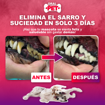 Spray bucal perro aliento fresco