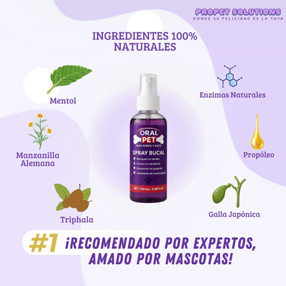 OralPet modo de uso